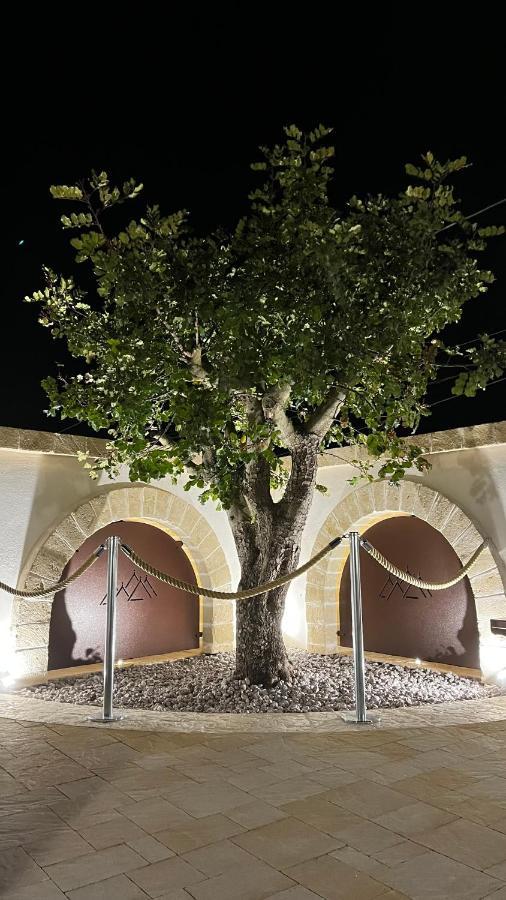 Quei Trulli Divini Panzió Martina Franca Kültér fotó